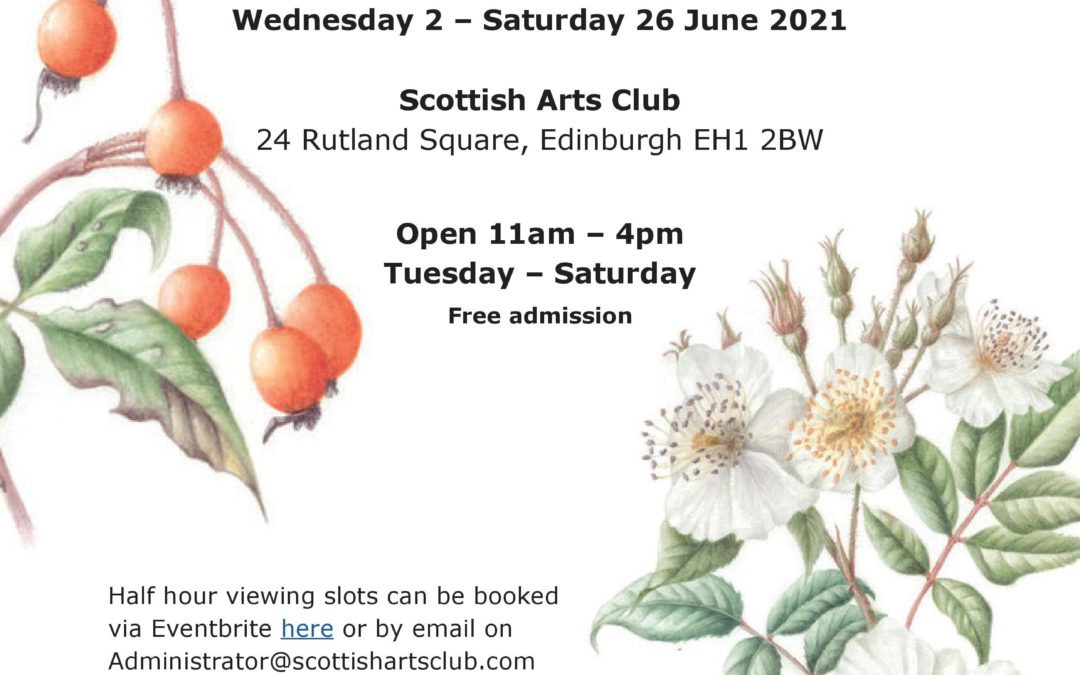 Scottish Society of Botanical Artists – 6th Annual Exhibition