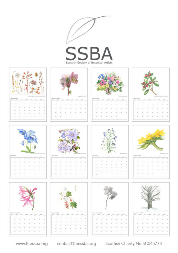 2022 Calendars | Scottish Society of Botanical Artists