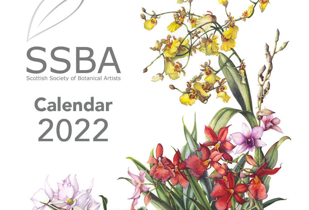 2022 SSBA calendar