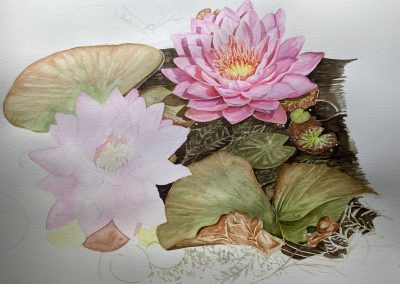 Water lilies (unfinished)